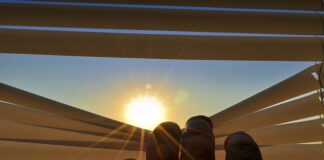 Co jest lepsze rolety czy żaluzje?