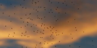 Ile powinno być luzu w bucie?