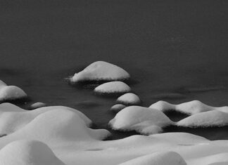O co chodzi w Nad Niemnem? O co chodzi w Nad Niemnem?