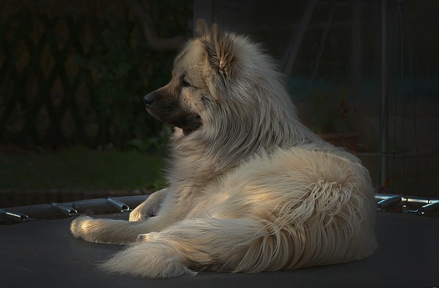 Ile kg może być na trampolinie? Ile kg może być na trampolinie?