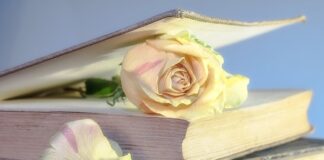 Czy warto kupić używany wózek?