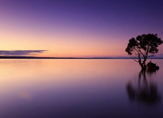 Ile wody może wypić 3 miesięczne dziecko?