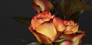 Co się daje dziecku po urodzeniu?