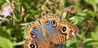 Na jakim kolorze nie widać potu?