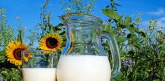 Jak długo może stać mleko w temperaturze pokojowej?