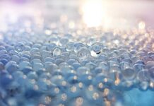 Gdzie mogę kupić globus?