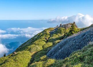 Jaka jest różnica między domem letniskowym a całorocznym? Jaka jest różnica między domem letniskowym a całorocznym?