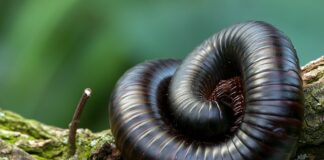 Co robić z 4 latkiem w wakacje?