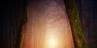 Jak zrobić oświetlenie w domku dla lalek?