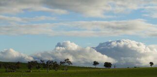 Czy można zrobić masę solną dzień wcześniej?