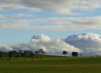 Czy można zrobić masę solną dzień wcześniej?