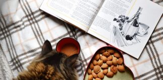 Kiedy najlepiej rozłożyć trampolinę?