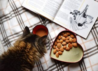 Kiedy najlepiej rozłożyć trampolinę?