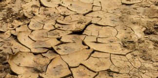 Ile glinki do mydła?