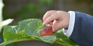 Dlaczego dziecko nie chwyta zabawek?