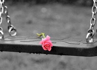 Co robić z dziećmi na działce?