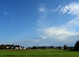 Czy można mieszkać cały rok na działce ROD? Czy można mieszkać cały rok na działce ROD?