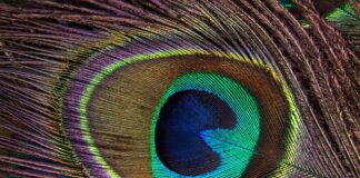 Jakie są fajne gry?