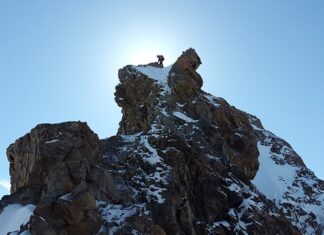 Jak nazywa się czubek buta? Jak nazywa się czubek buta?