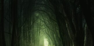 Jak ma na imię Zielona Rainbow High?