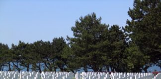 Ile czasu zajmuje złożenie trampoliny?