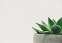 Z czego można zrobić dekoracje na tort? Z czego można zrobić dekoracje na tort?