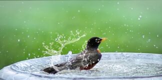 Co do kąpieli dla dziecka?