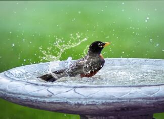 Co do kąpieli dla dziecka?