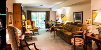 Jak zrobić legowisko dla kota na dworze?