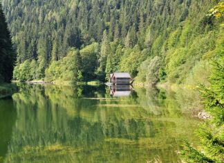 Co do domku drewnianego dla dzieci?