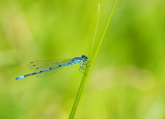 Czym zająć 4-latka w domu?