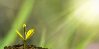 Co hamuje rozwój dziecka?