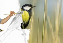 Co zamiast farb do twarzy? Co zamiast farb do twarzy?