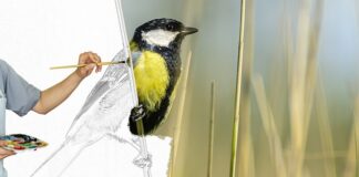 Co zamiast farb do twarzy?