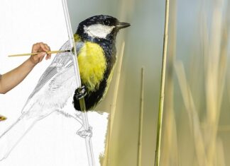 Co zamiast farb do twarzy? Co zamiast farb do twarzy?