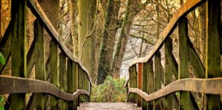 Jakie gry dla 14 latka?