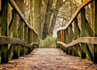 Jakie gry dla 14 latka?