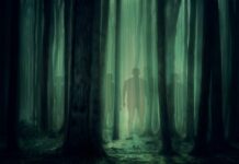 Jak nauczyć dziecko kształtów? Jak nauczyć dziecko kształtów?