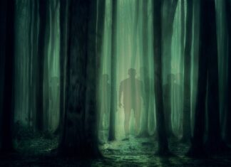 Jak nauczyć dziecko kształtów?