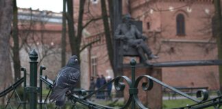 Co dać zamiast planty do masy cukrowej?