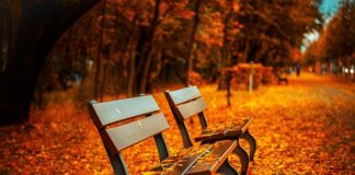 Od jakiego wieku do parku trampolin?