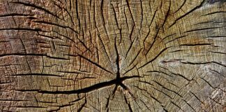 Co roczne dziecko powinno umieć?