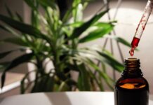 W co grają 12 latki? W co grają 12 latki?