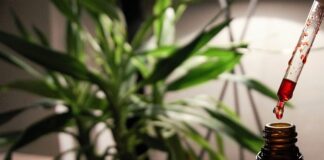 W co grają 12 latki?