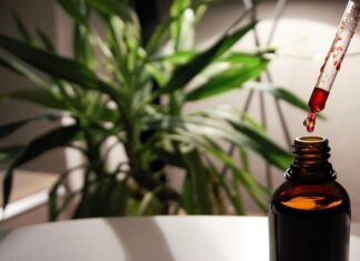 W co grają 12 latki? W co grają 12 latki?