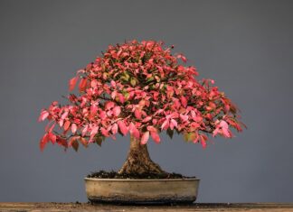 Czy gryzaki są dobre?