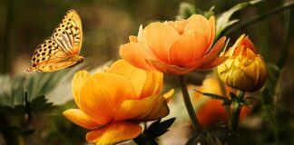 Co do mycia dla niemowląt?