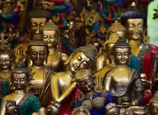 Co jest droższe kaszmir czy jedwab? Co jest droższe kaszmir czy jedwab?