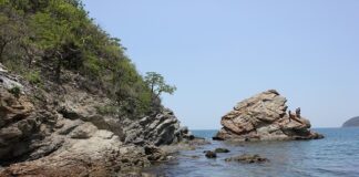 Dlaczego Marta odrzuciła Anzelma?