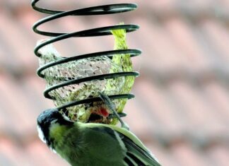 Jak sprawdzić czy mam dość pokarmu? Jak sprawdzić czy mam dość pokarmu?